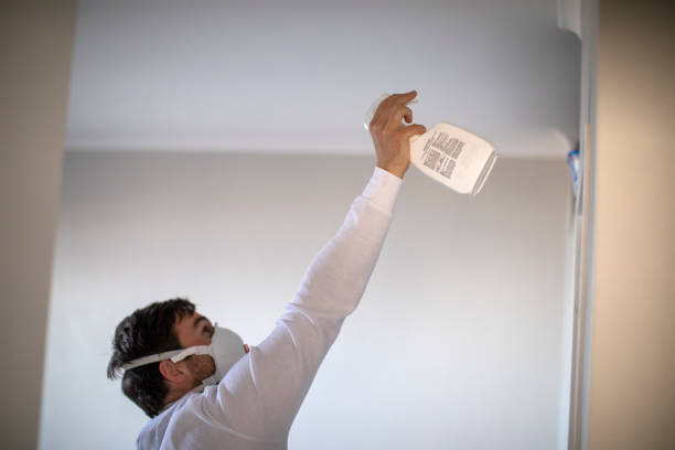 Office Mold Removal Services in Curwensville, PA