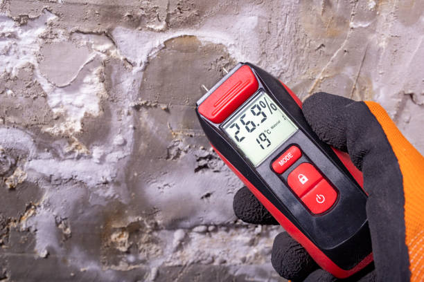 Best Professional Mold Removal  in Curwensville, PA