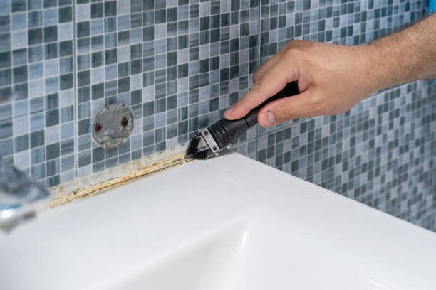 Trusted Curwensville, PA Mold Removal Experts